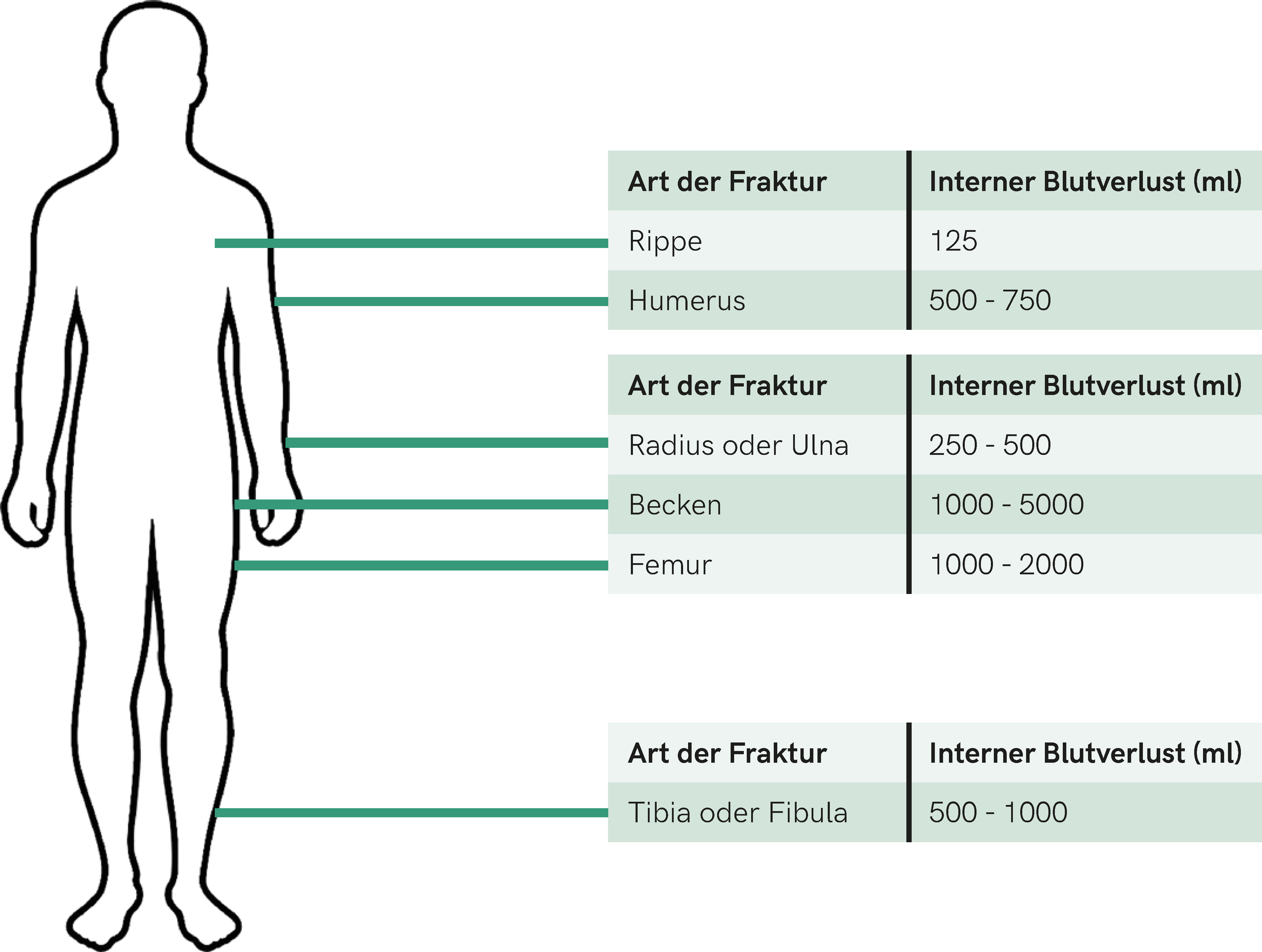 Potenzielle Blutverluste bei Frakturen.png