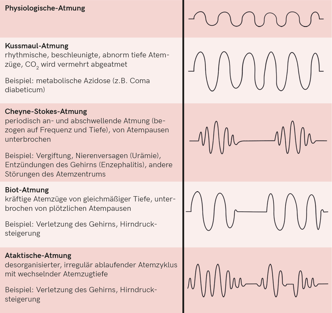 Pathologische Atmungsformen.png