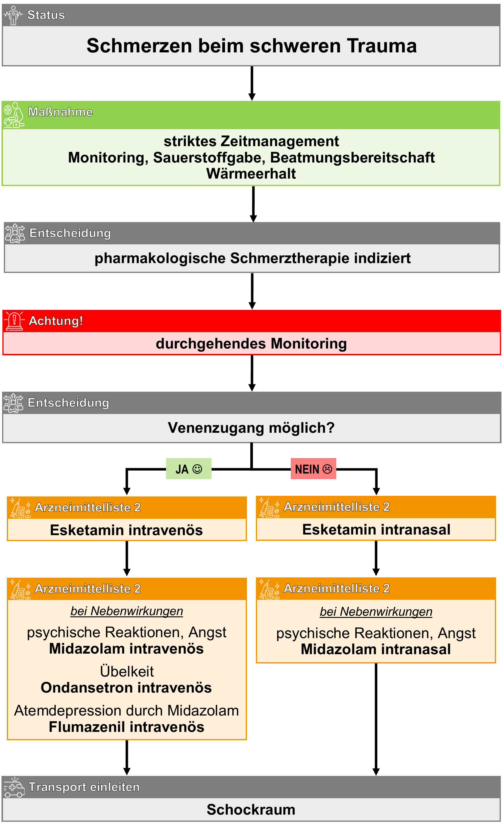 Schmerzen schweres Trauma.png