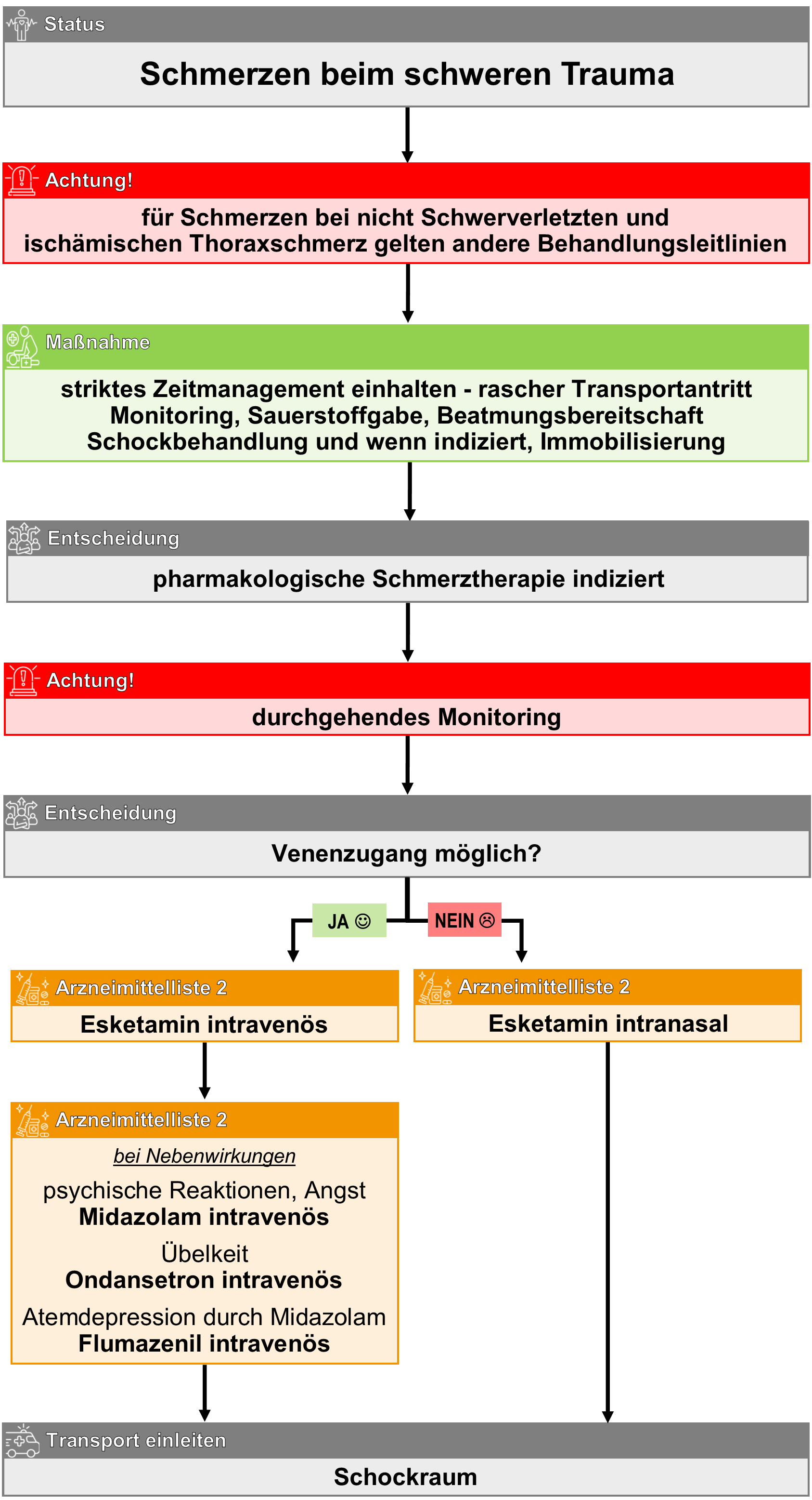 Schmerzen schweres Trauma.png