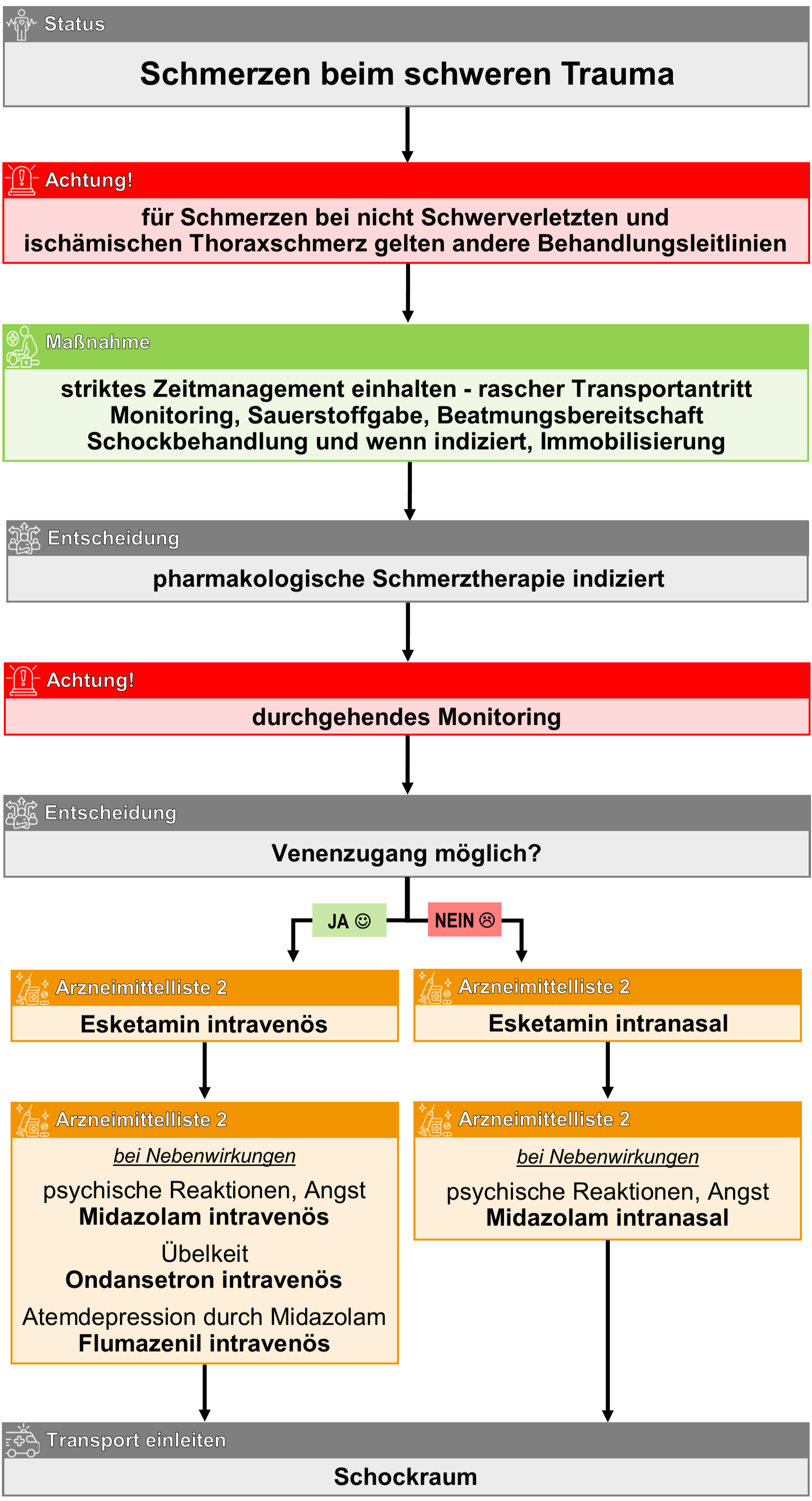 Schmerzen schweres Trauma.png