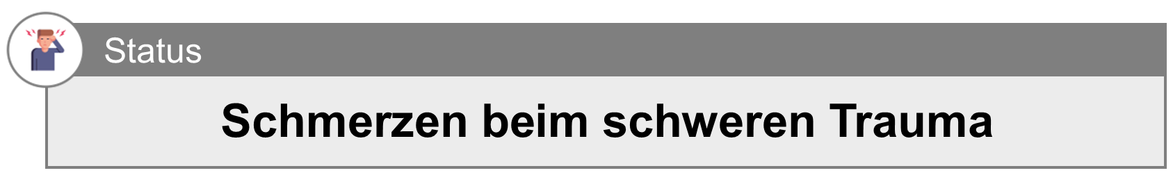 Schmerzen - Überblick 3.png