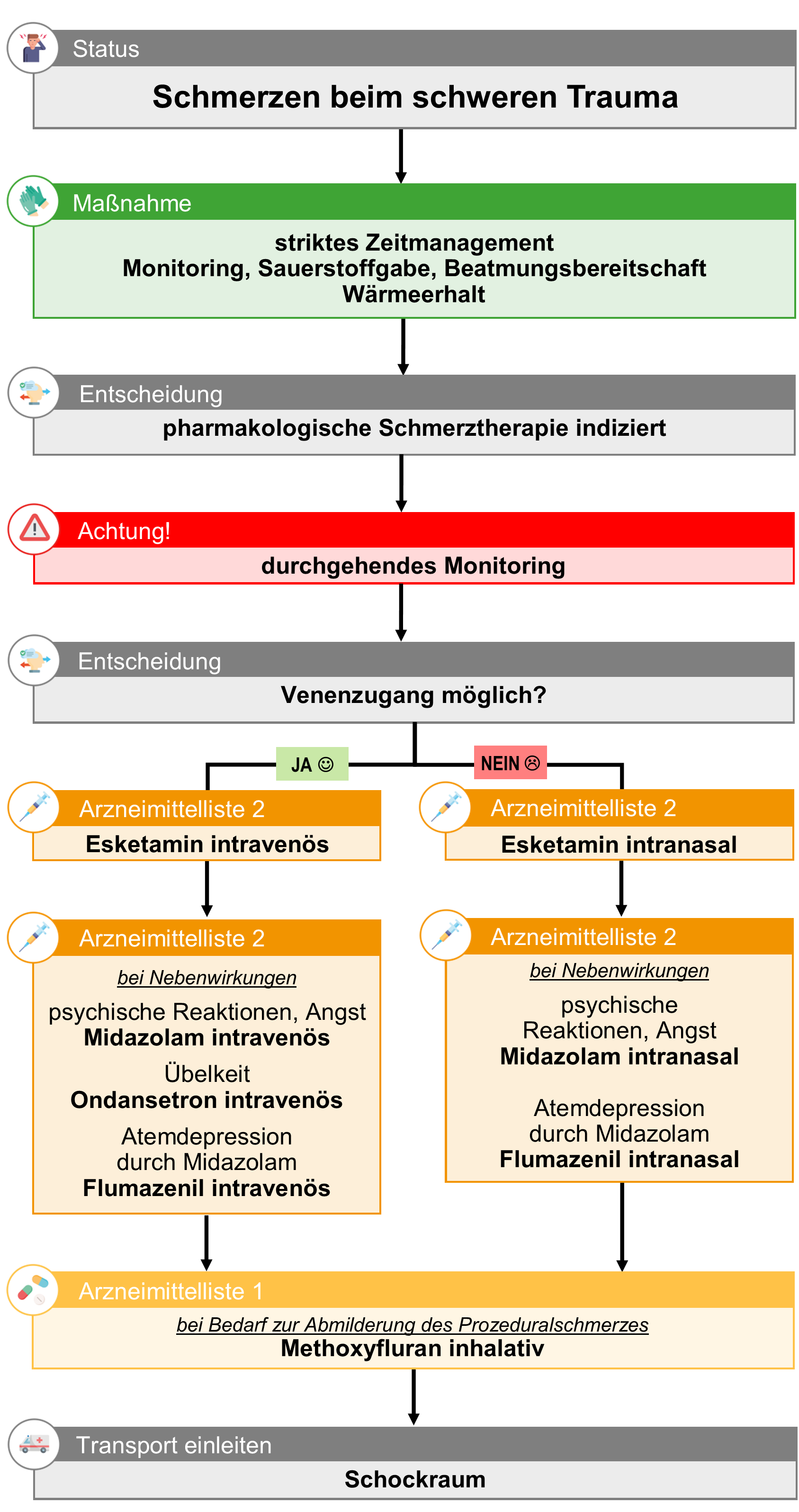 Schmerzen beim schweren Trauma.png