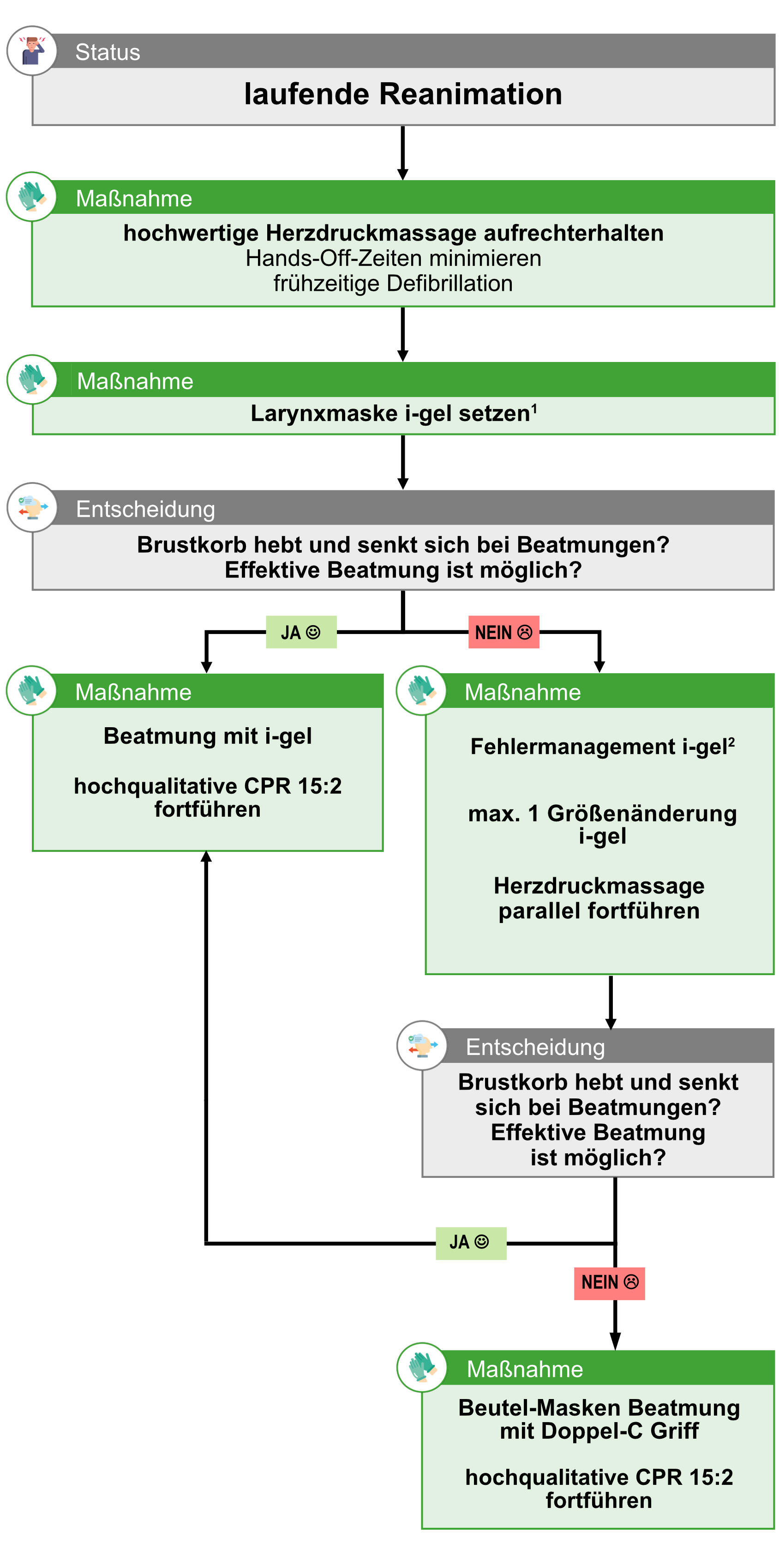 BLL AWS BLS_Kinder.png