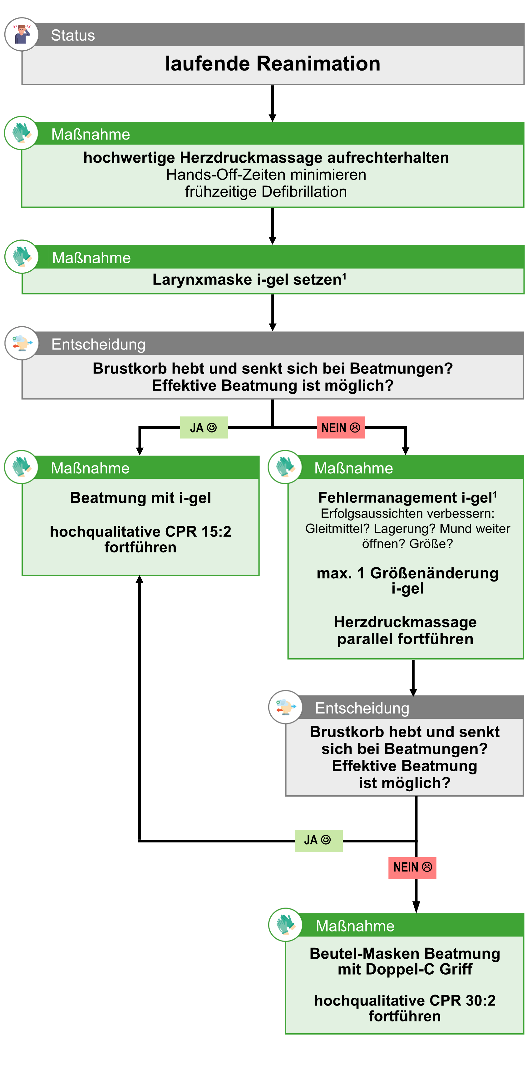 BLL AWS BLS (Kinder).png