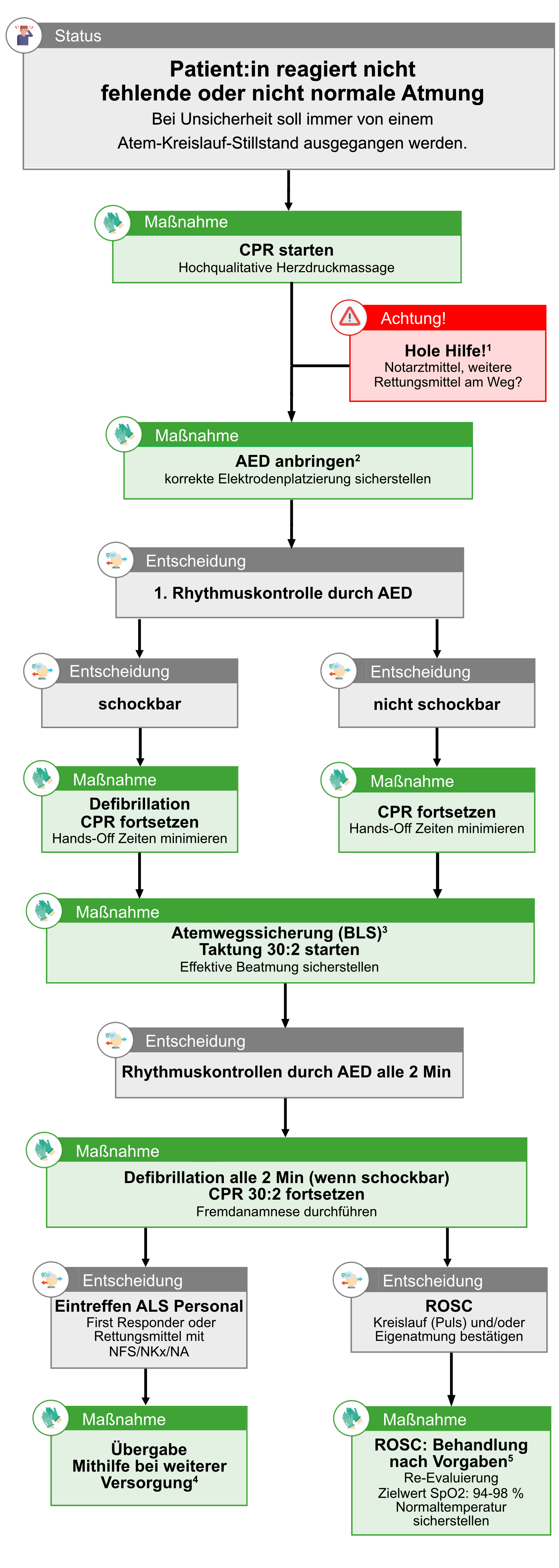 BLL Atem Kreislauf Stillstand (BLS).png