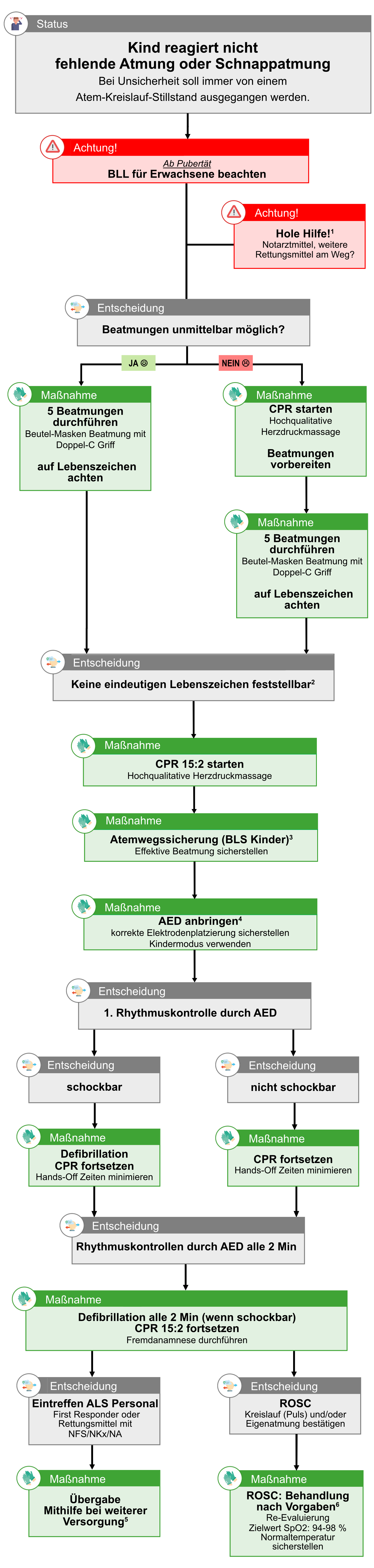 BLL AKS BLS Kinder.png