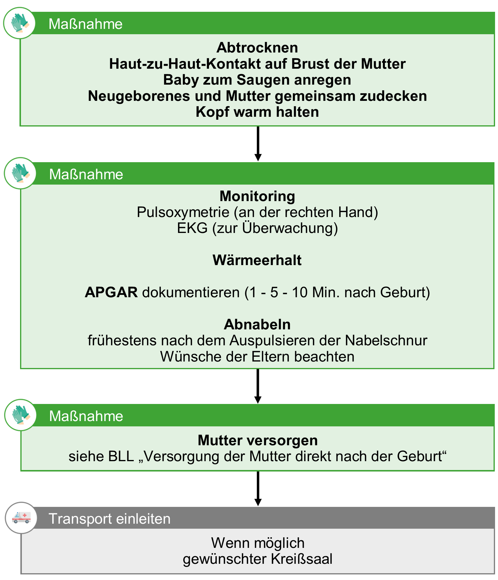 Versorgung des Neugeborenen - Vitales Neugeborenes.png