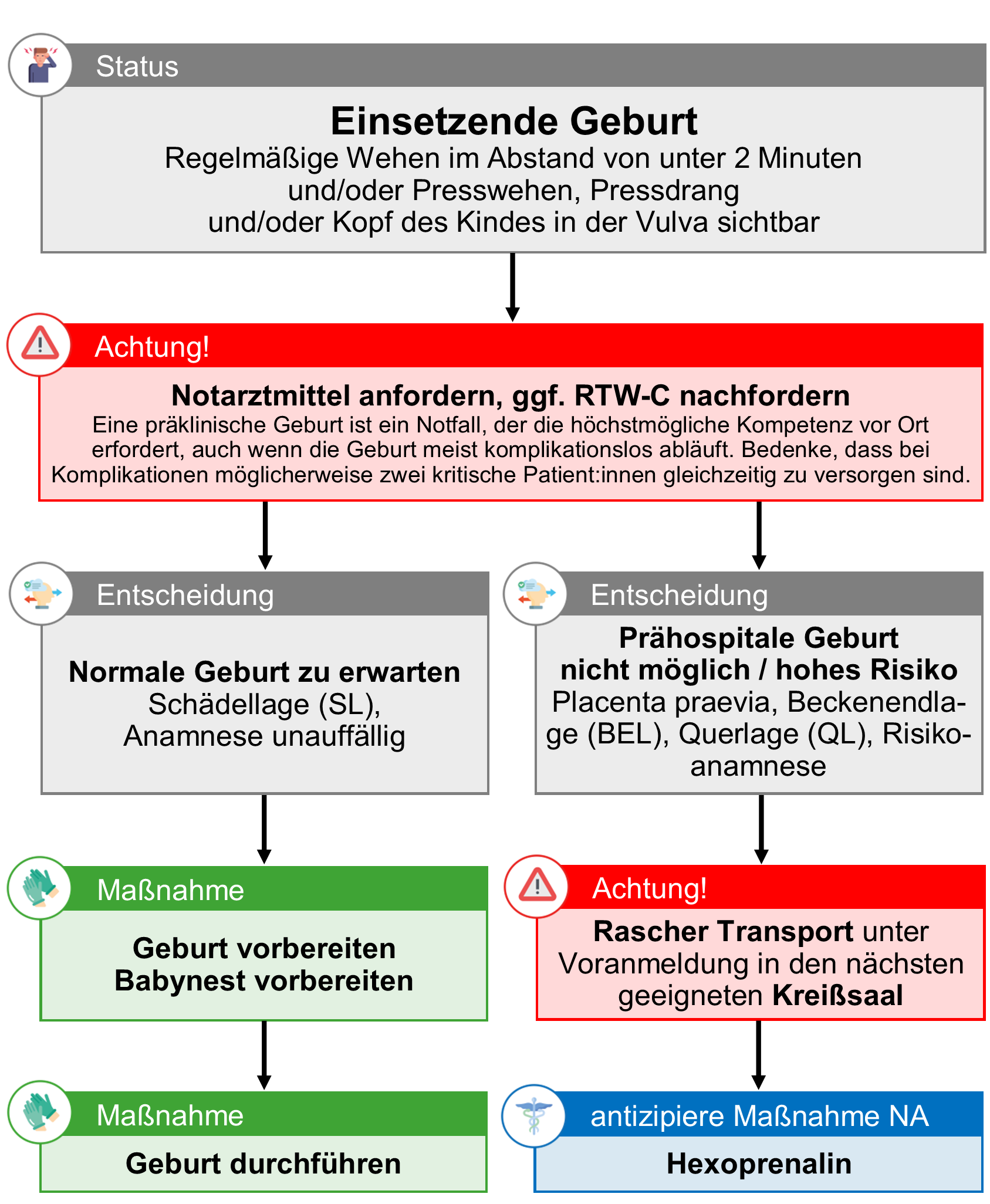 BLL Geburt - einsetzende Geburt.png