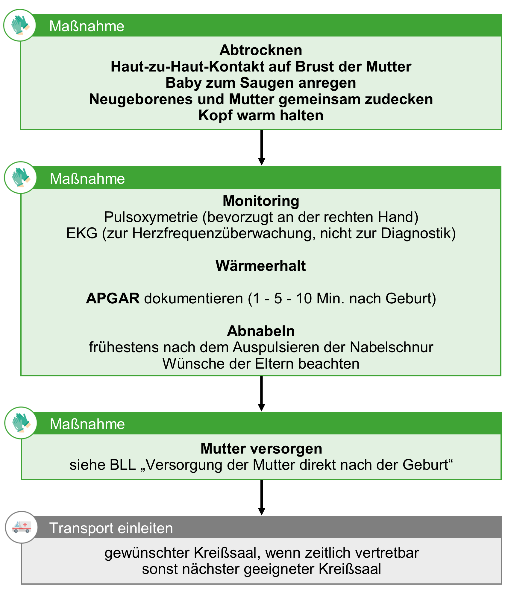 BLL Geburt - Versorgung Neugeborenes 2.png