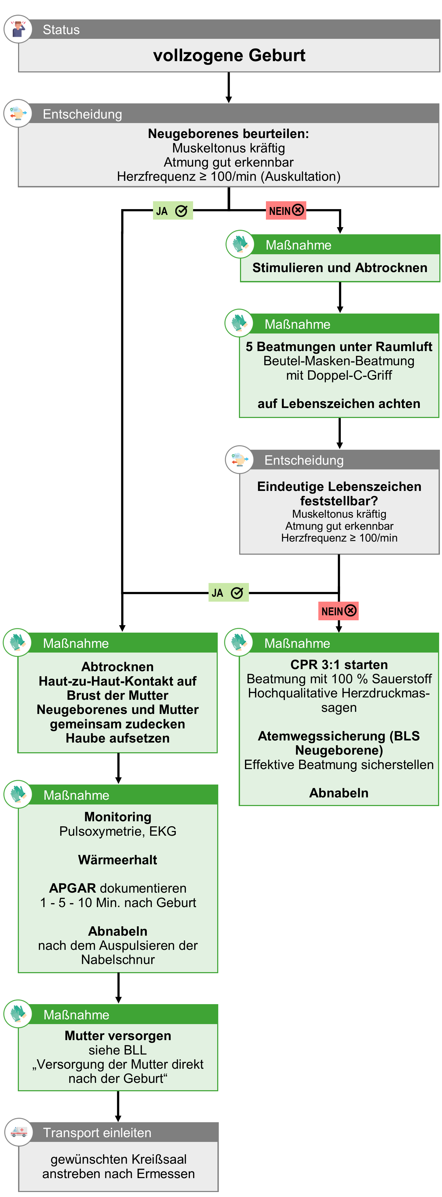 BLL Geburt - Neugeborenenversorgung.png