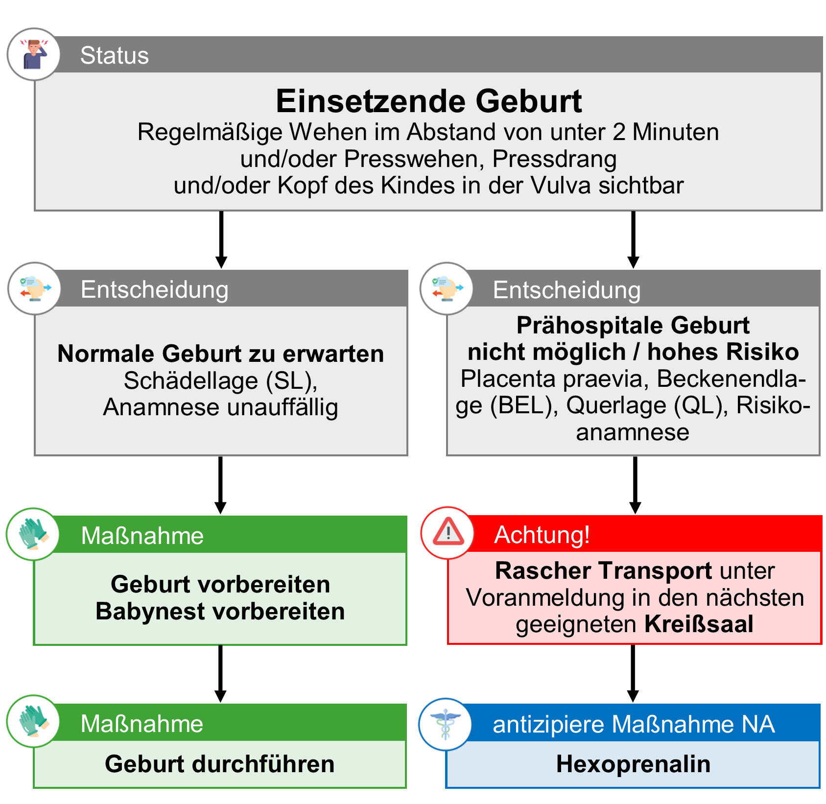 BLL Geburt - einsetzende Geburt.png